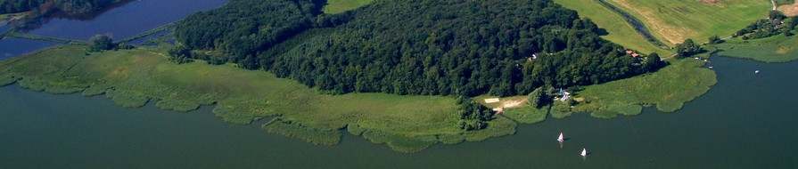 Luftbild vom Wassersport-Camp im Wald oberhalb der Segelschule